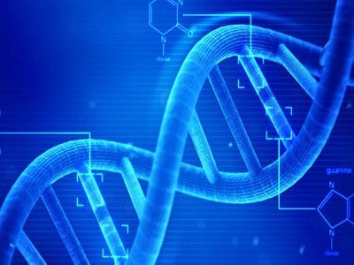 Kıbrıs Tüp Bebek Merkezi DNA