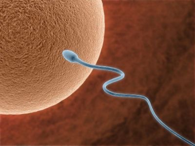 Kıbrıs Tüp Bebek Merkezi Sperm Bağışı